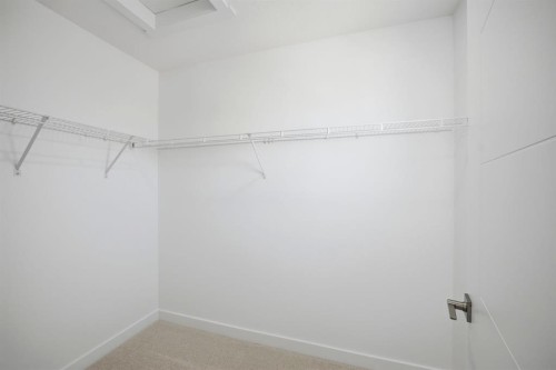 348 Cornerbrook Drive Ne, Calgary, AB - Indoor With Storage