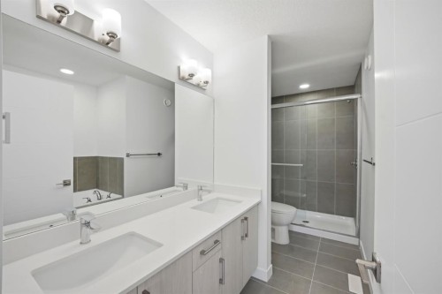 348 Cornerbrook Drive Ne, Calgary, AB - Indoor Photo Showing Bathroom