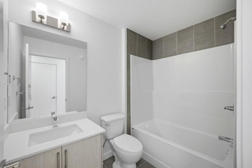 348 Cornerbrook Drive Ne, Calgary, AB - Indoor Photo Showing Bathroom