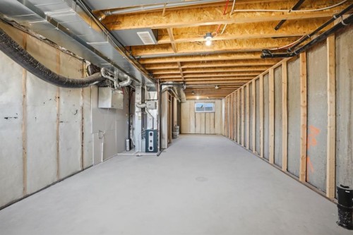 348 Cornerbrook Drive Ne, Calgary, AB - Indoor Photo Showing Basement