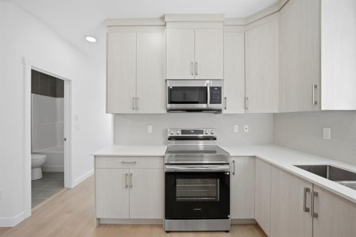 348 Cornerbrook Drive Ne, Calgary, AB - Indoor Photo Showing Kitchen With Upgraded Kitchen