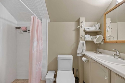 2109 21 Avenue, Bowden, AB - Indoor Photo Showing Bathroom