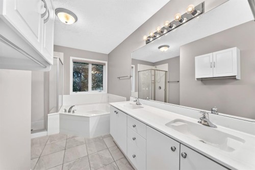 142 Strathmore Lakes Place, Strathmore, AB - Indoor Photo Showing Bathroom