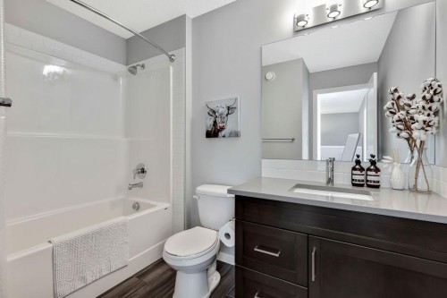 1714 Montgomery Gate Se, High River, AB - Indoor Photo Showing Bathroom