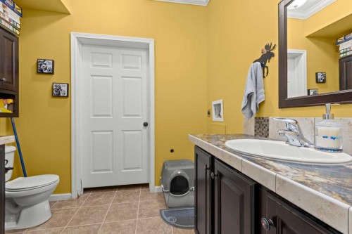 13 Cherry Lane Se, Three Hills, AB - Indoor Photo Showing Bathroom