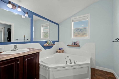 13 Cherry Lane Se, Three Hills, AB - Indoor Photo Showing Bathroom