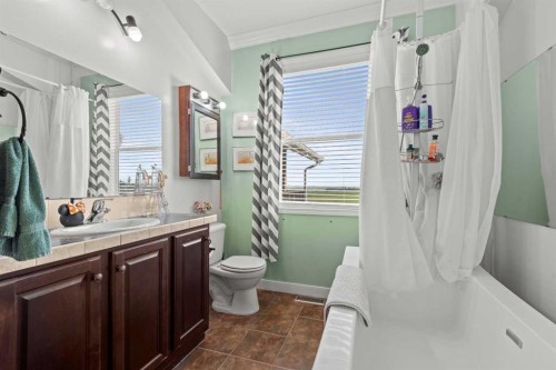 13 Cherry Lane Se, Three Hills, AB - Indoor Photo Showing Bathroom