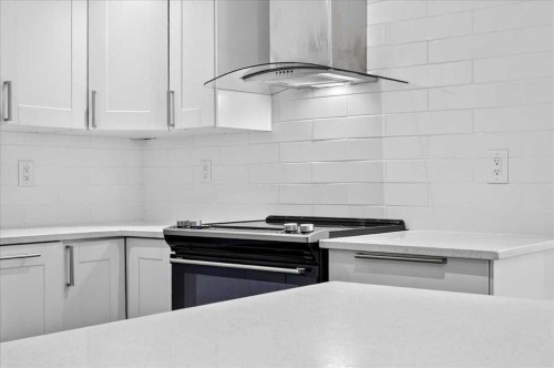 204-1011 12 Avenue Sw, Calgary, AB - Indoor Photo Showing Kitchen With Upgraded Kitchen