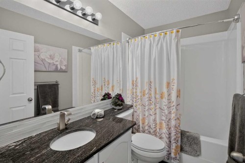 13 Coventry Way Ne, Calgary, AB - Indoor Photo Showing Bathroom