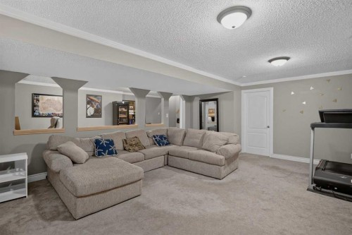 13 Coventry Way Ne, Calgary, AB - Indoor Photo Showing Living Room