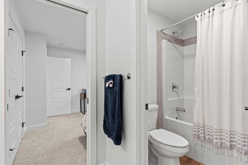 116 Ambleside Crescent Nw, Calgary, AB - Indoor Photo Showing Bathroom