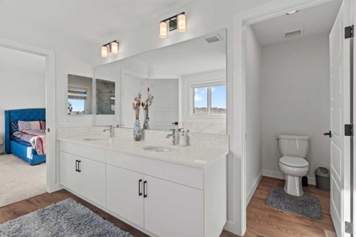 116 Ambleside Crescent Nw, Calgary, AB - Indoor Photo Showing Bathroom