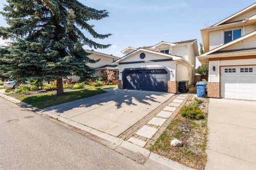 117 Douglasbank Way Se, Calgary, AB 