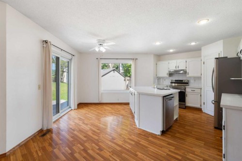 117 Douglasbank Way Se, Calgary, AB 
