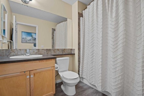 241 Sunset Heights, Cochrane, AB - Indoor Photo Showing Bathroom