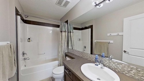 39 Sunrise View, Cochrane, AB - Indoor Photo Showing Bathroom