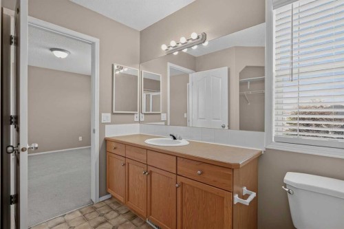 59 Silver Springs Way Nw, Airdrie, AB - Indoor Photo Showing Bathroom