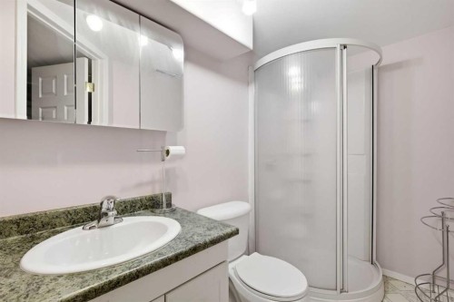 806 Radford Road Ne, Calgary, AB - Indoor Photo Showing Bathroom