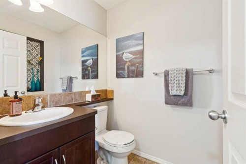 147 Sunset Cove, Cochrane, AB - Indoor Photo Showing Bathroom