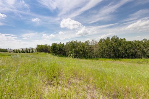 5446 Vista Trail, Blackfalds, AB 