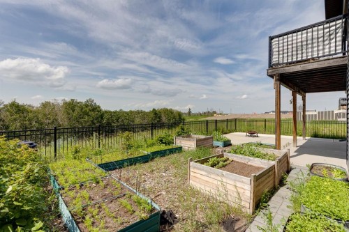 5446 Vista Trail, Blackfalds, AB 