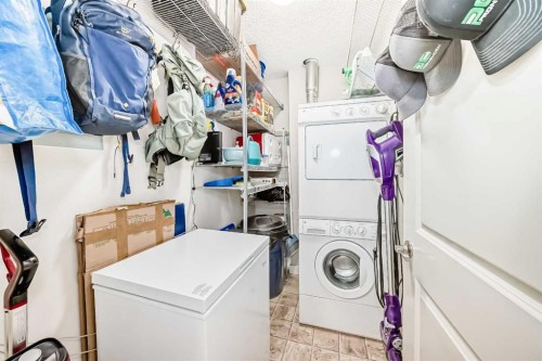 113-201 Sunset Drive, Cochrane, AB - Indoor Photo Showing Laundry Room