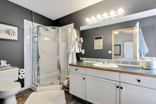 209 Coventry Circle Ne, Calgary, AB 