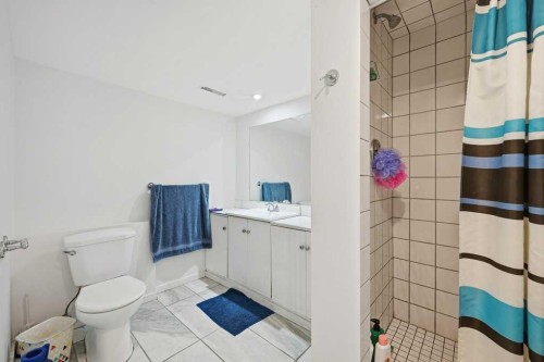 2415 Vista Crescent Ne, Calgary, AB - Indoor Photo Showing Bathroom