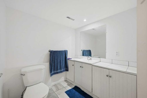 2415 Vista Crescent Ne, Calgary, AB - Indoor Photo Showing Bathroom
