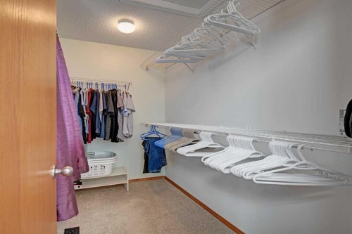 49 Thornfield Close Se, Airdrie, AB - Indoor With Storage