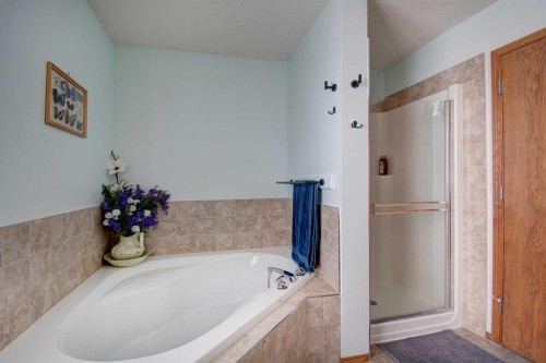 49 Thornfield Close Se, Airdrie, AB - Indoor Photo Showing Bathroom