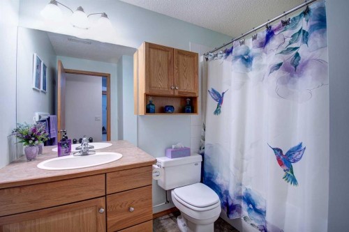 49 Thornfield Close Se, Airdrie, AB - Indoor Photo Showing Bathroom