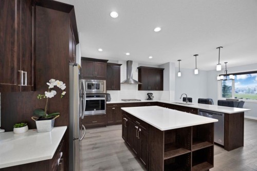 76 Red Embers Square Ne, Calgary, AB - Indoor Photo Showing Kitchen With Upgraded Kitchen