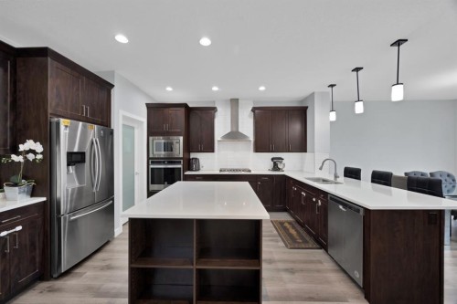 76 Red Embers Square Ne, Calgary, AB - Indoor Photo Showing Kitchen With Upgraded Kitchen