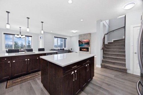 76 Red Embers Square Ne, Calgary, AB - Indoor Photo Showing Kitchen With Upgraded Kitchen