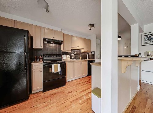 305-112 23 Avenue Sw, Calgary, AB - Indoor Photo Showing Kitchen