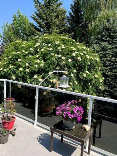 240 Varsity Estates Terrace Nw, Calgary, AB 