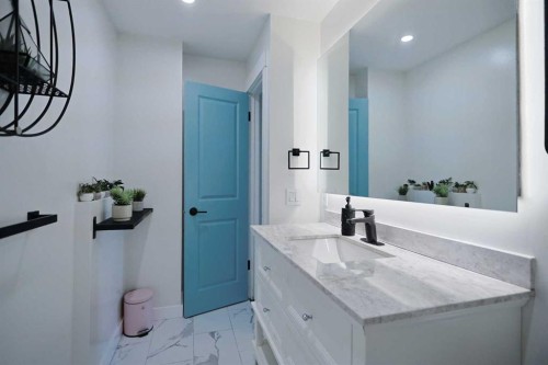205-310 Falconridge Crescent Ne, Calgary, AB - Indoor Photo Showing Bathroom