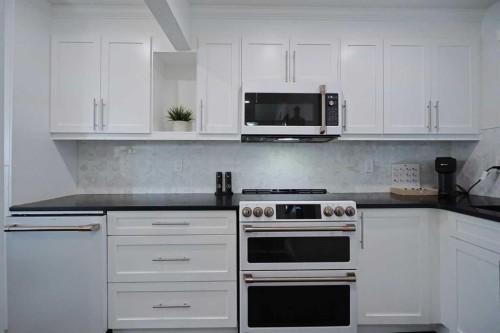 205-310 Falconridge Crescent Ne, Calgary, AB - Indoor Photo Showing Kitchen