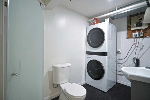 205-310 Falconridge Crescent Ne, Calgary, AB - Indoor Photo Showing Laundry Room