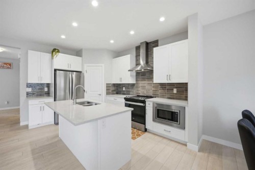 232 Cornerbrook Common Ne, Calgary, AB - Indoor Photo Showing Kitchen With Double Sink With Upgraded Kitchen