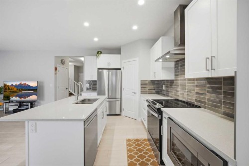 232 Cornerbrook Common Ne, Calgary, AB - Indoor Photo Showing Kitchen With Double Sink With Upgraded Kitchen