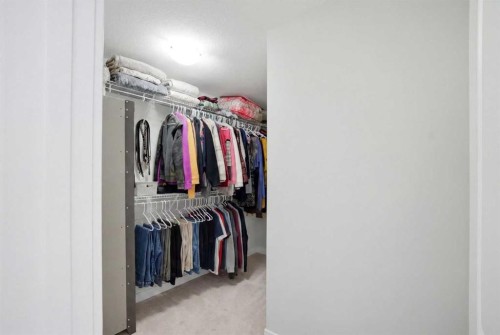 232 Cornerbrook Common Ne, Calgary, AB - Indoor With Storage