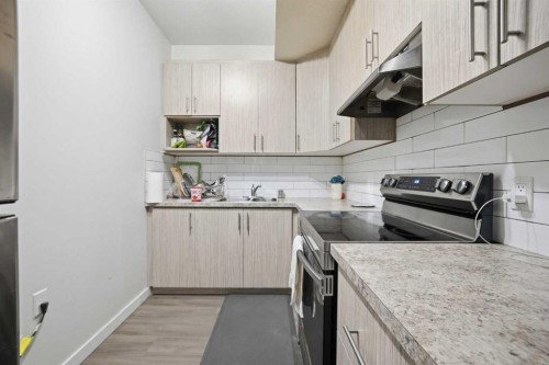 232 Cornerbrook Common Ne, Calgary, AB - Indoor Photo Showing Kitchen With Upgraded Kitchen