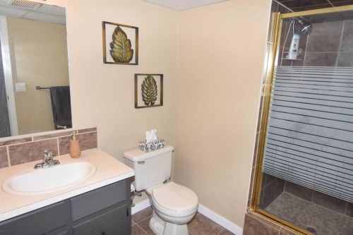 254 Maple Grove Crescent, Strathmore, AB 