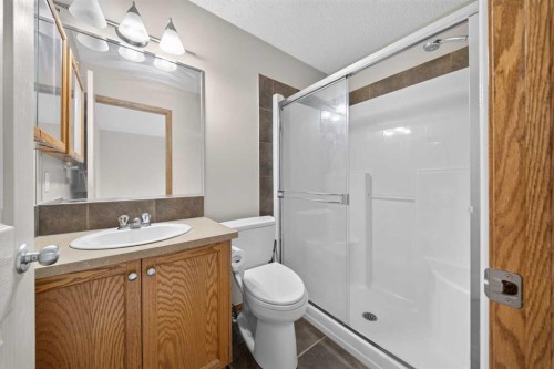 744 Luxstone Landing Sw, Airdrie, AB - Indoor Photo Showing Bathroom