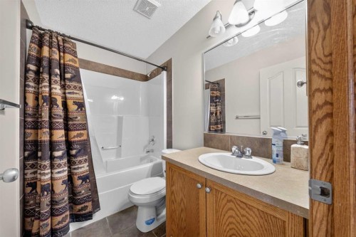 744 Luxstone Landing Sw, Airdrie, AB - Indoor Photo Showing Bathroom