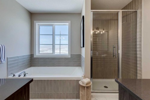 282 Southbow Avenue, Cochrane, AB - Indoor Photo Showing Bathroom