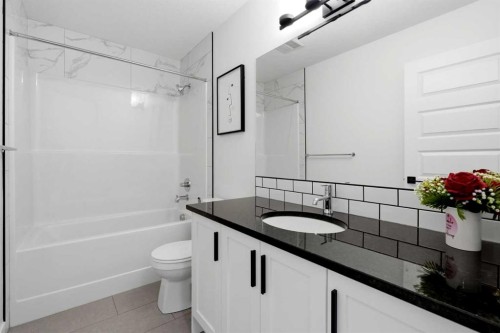 160 Homestead Grove Ne, Calgary, AB - Indoor Photo Showing Bathroom