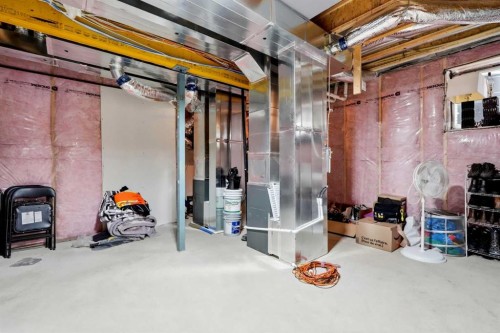 160 Homestead Grove Ne, Calgary, AB - Indoor Photo Showing Basement